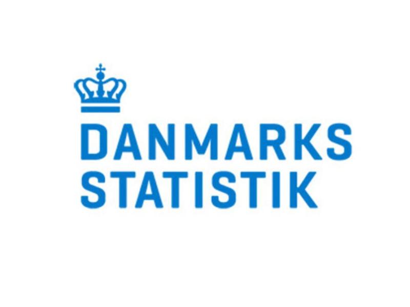 Danmarks Statistik logo