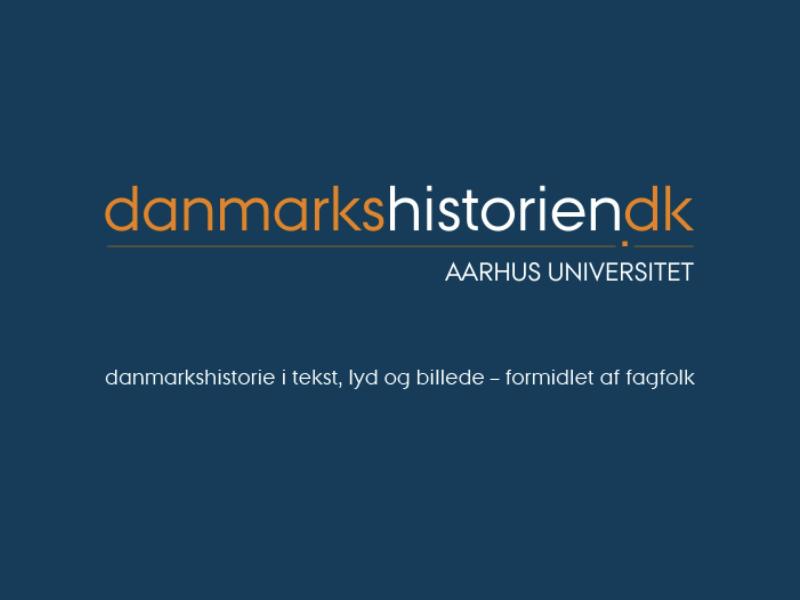 Danmarkshistorie.dk logo